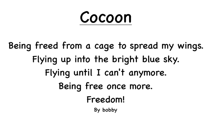 Cocoon-(1)