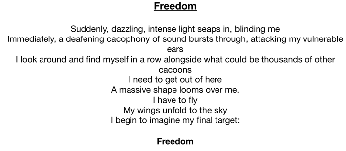Freedom-Poem-by-Albert