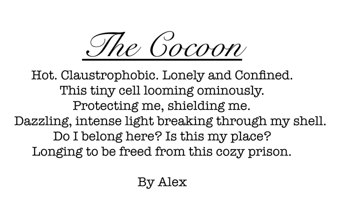 The-Cocoon-3