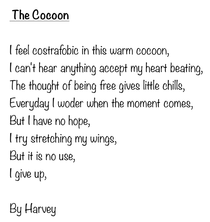 The-Cocoon